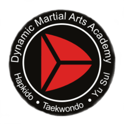 dynamic martial arts